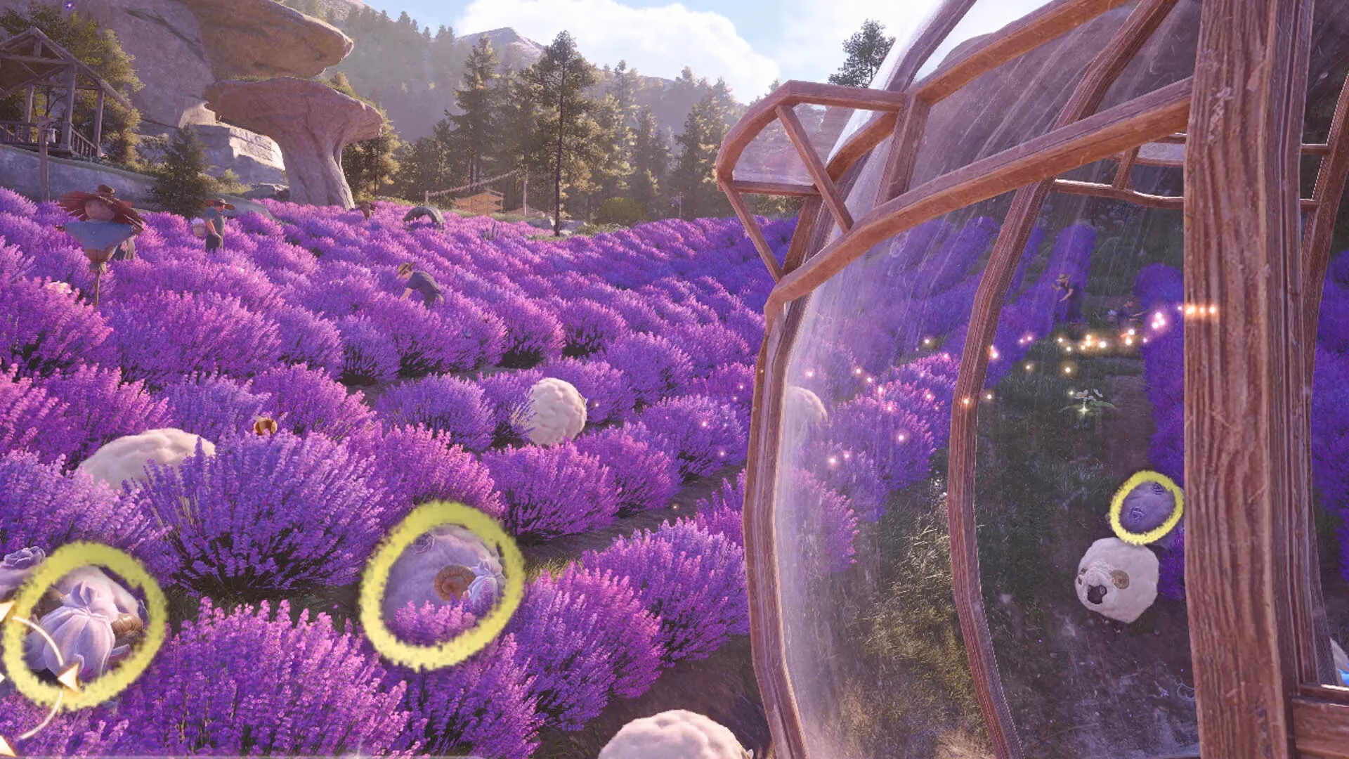 lost-sheep-photo-hunt-finding-luke-s-sneaky-florasheep-image-1